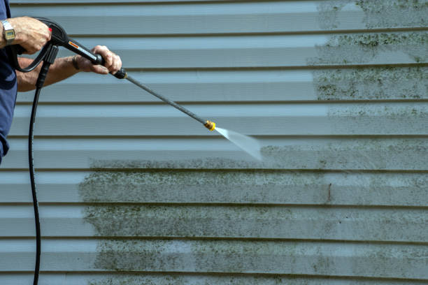 Local Pressure Washing Services